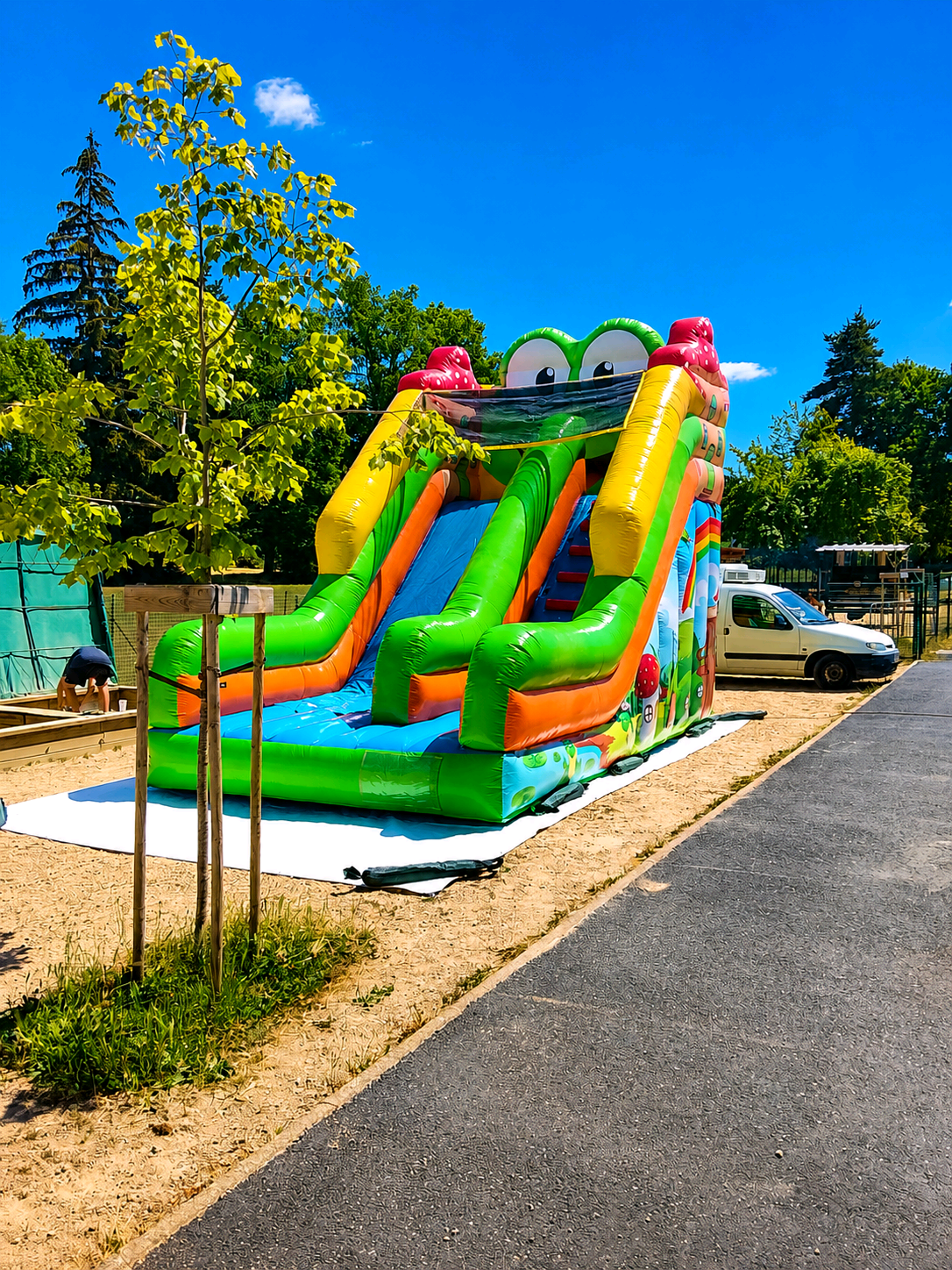 Toboggan Grenouille