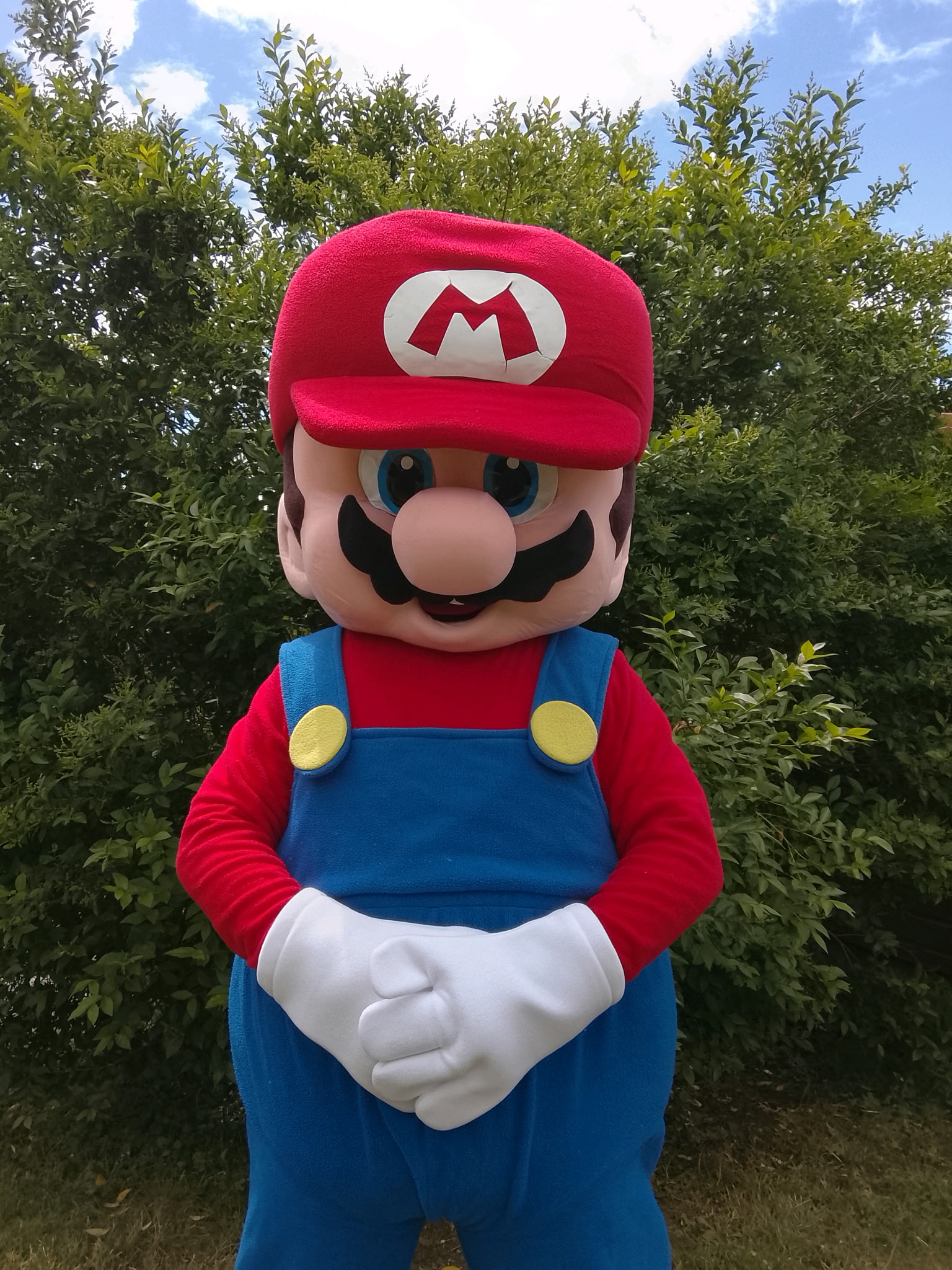 Mario