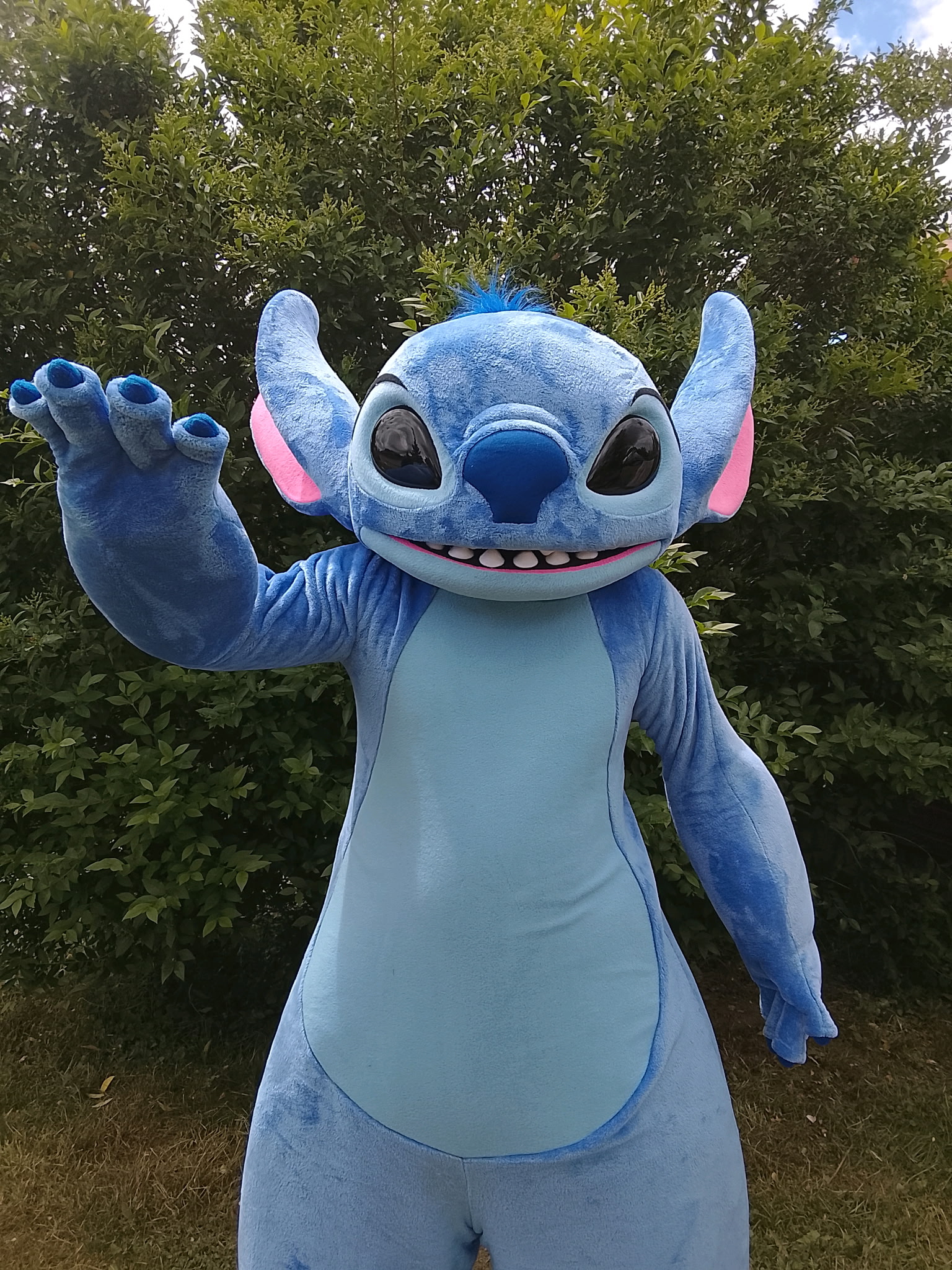 Stitch