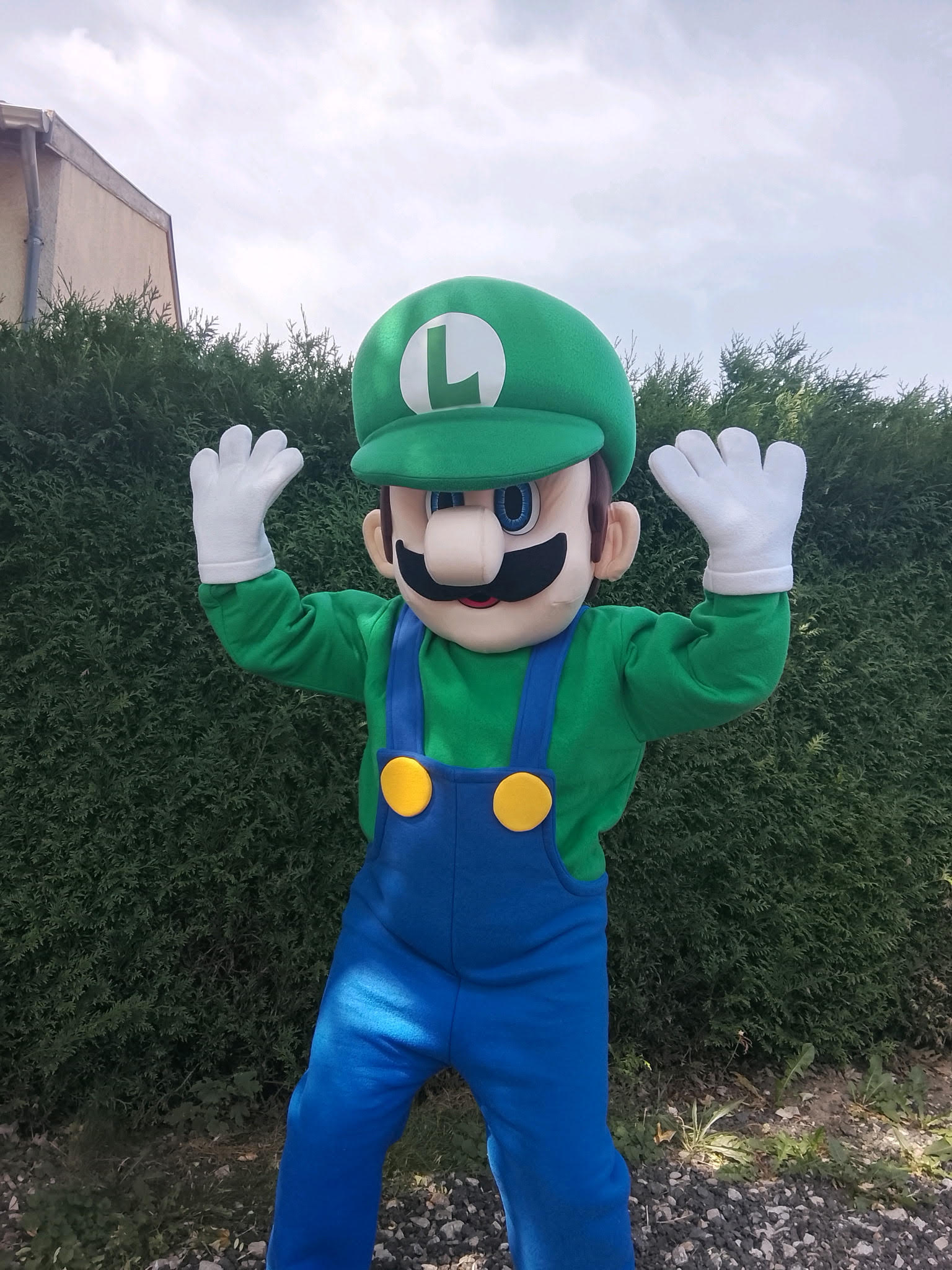Luigi